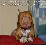     
: 68319603_1293278185_171640.jpg
: 25
:	58.3 
ID:	2356723