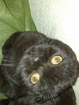     
: 09032011533.jpg
: 11
:	82.8 
ID:	2357102