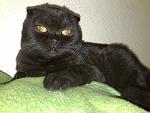     
: 09032011532.jpg
: 13
:	130.6 
ID:	2357134