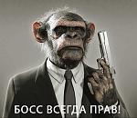     
: boos_pravv.jpg
: 5
:	65.3 
ID:	2364763
