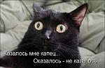     
: 1270289434-prikolnye-zverushki-s-podpisjami-40-foto_AddFun.ru_9.jpg
: 18
:	30.3 
ID:	2365869
