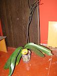     
: DSC05404.jpg
: 59
:	112.2 
ID:	2367633