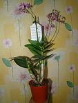     
: DSC05407.jpg
: 90
:	86.4 
ID:	2367640