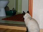     
: DSCN0786.JPG
: 34
:	233.1 
ID:	2369054