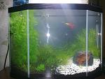     
: 12032011457.jpg
: 41
:	132.3 
ID:	2369431