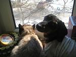     
: IMG_7998.jpg
: 13
:	144.6 
ID:	2370254
