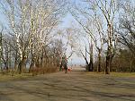     
: 120320111554.jpg
: 18
:	269.0 
ID:	2370680