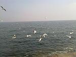     
: 120320111558.jpg
: 11
:	141.8 
ID:	2370683
