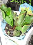    
: IMG_5063.jpg
: 32
:	89.1 
ID:	2371844