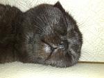     
: 13032011569.jpg
: 15
:	143.4 
ID:	2373383