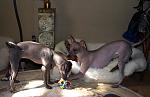     
: DSC01961.JPG
: 50
:	150.9 
ID:	2380841