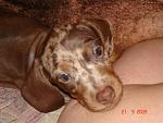     
: x_14f2b77d.jpg
: 39
:	50.8 
ID:	2383176