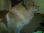     
: DSC03435.jpg
: 22
:	90.0 
ID:	238788