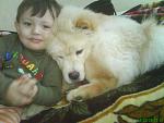     
: DSC03452.jpg
: 26
:	75.7 
ID:	238799