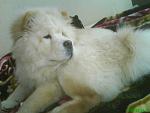     
: DSC03450.jpg
: 28
:	58.0 
ID:	238801