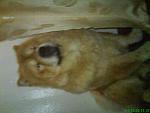    
: DSC03459.jpg
: 22
:	78.0 
ID:	238802