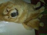     
: DSC03460.jpg
: 23
:	77.9 
ID:	238803