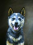     
: sofie01.jpg
: 11
:	54.7 
ID:	2389153