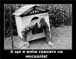     
: 6f7ab8674cb1.jpg
: 13
:	48.5 
ID:	2389412