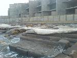     
: 110316-0016.jpg
: 24
:	146.1 
ID:	2389562