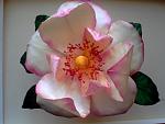     
: PICT0021.jpg
: 40
:	74.5 
ID:	2390646