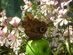     
: DSC01331.JPG
: 25
:	134.6 
ID:	2394783