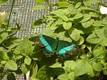     
: DSC01344.JPG
: 22
:	151.7 
ID:	2394785