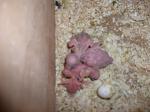     
: DSCF1218.jpg
: 69
:	61.7 
ID:	2396593
