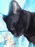    
: DSC00764.JPG
: 21
:	119.5 
ID:	2396625
