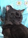     
: DSC00767.JPG
: 18
:	124.0 
ID:	2396626