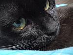     
: DSC00774.JPG
: 21
:	115.3 
ID:	2396627