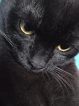     
: DSC00773.JPG
: 22
:	105.4 
ID:	2396628