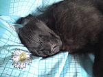     
: DSC00765.JPG
: 20
:	124.8 
ID:	2396629