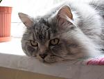     
: фото 051.jpg
: 41
:	138.5 
ID:	2396703