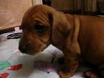     
: z_41e8ed25.jpg
: 37
:	209.5 
ID:	2397443