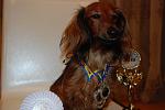     
: DSC_0479.jpg
: 38
:	91.4 
ID:	2398621