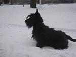     
: IMG_3851.jpg
: 30
:	84.1 
ID:	2398670