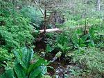     
: x_4bd38254.jpg
: 73
:	150.0 
ID:	2400433