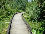     
: x_090062f6.jpg
: 91
:	156.6 
ID:	2400440