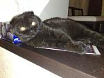     
: 14032011573.jpg
: 28
:	105.0 
ID:	2401182