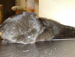     
: 14032011575.jpg
: 24
:	135.8 
ID:	2401185