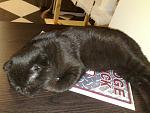     
: 14032011576.jpg
: 27
:	143.5 
ID:	2401194