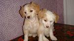    
: DSC08558.jpg
: 23
:	90.4 
ID:	2402004