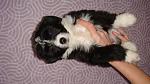     
: DSC08537.jpg
: 18
:	104.3 
ID:	2402005