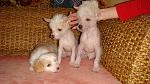     
: DSC08502.jpg
: 20
:	142.0 
ID:	2402006