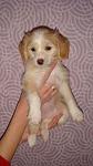     
: DSC08539.jpg
: 18
:	64.9 
ID:	2402008