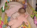     
: P3010039.jpg
: 61
:	76.1 
ID:	2403224