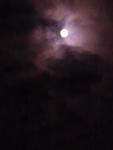     
: Фото0007.jpg
: 25
:	21.8 
ID:	2406324