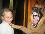     
: dog_1_3.jpg
: 12
:	51.1 
ID:	240792