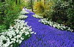     
: 01(1).jpg
: 97
:	118.9 
ID:	240955